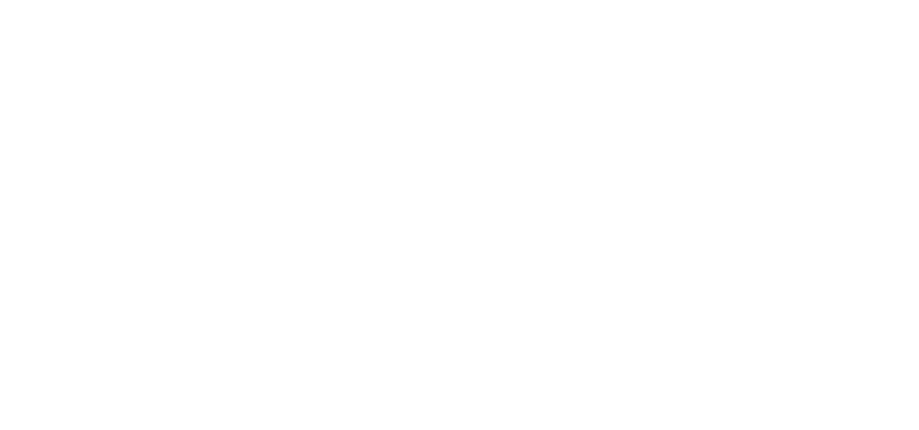 Camputers Lynx logo