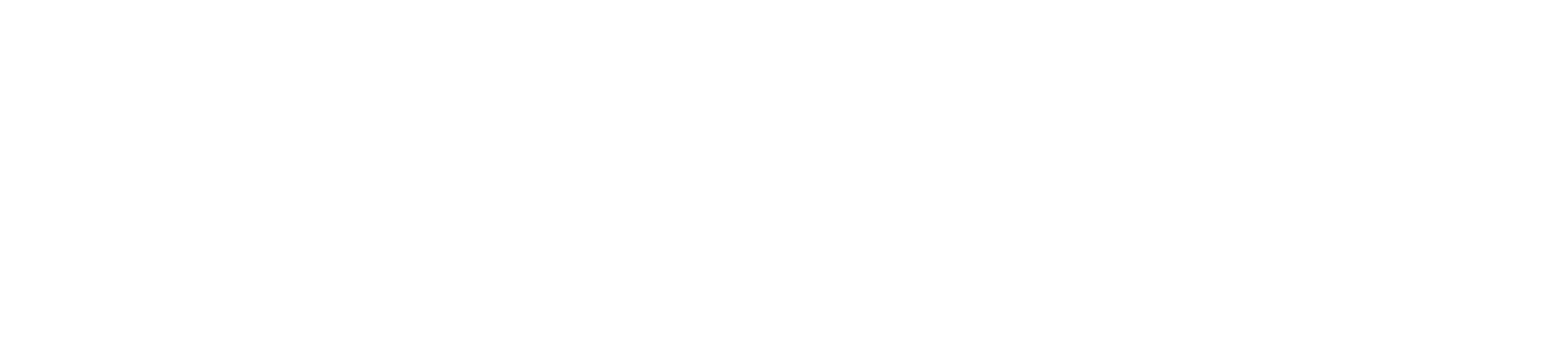 Naomi logo