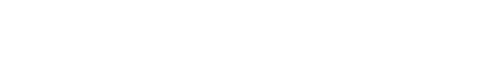 Sonic Retro Engine logo