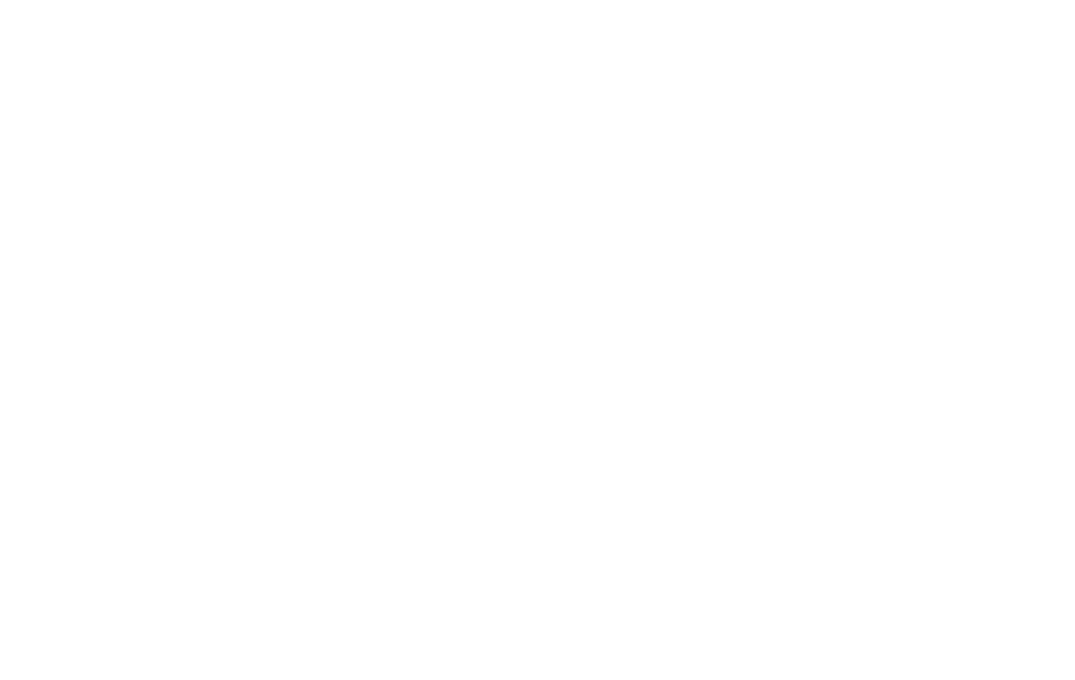 Tandy Video Information System logo